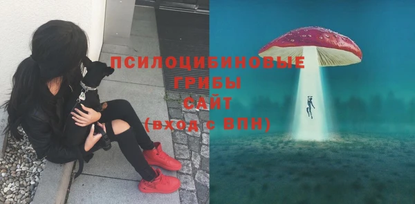 кристаллы Алзамай
