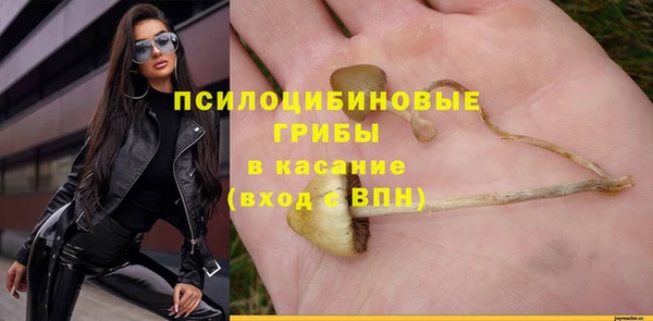 ешки Няндома