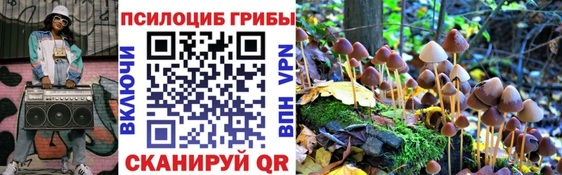 Галлюциногенные грибы Cubensis  Тверь 
